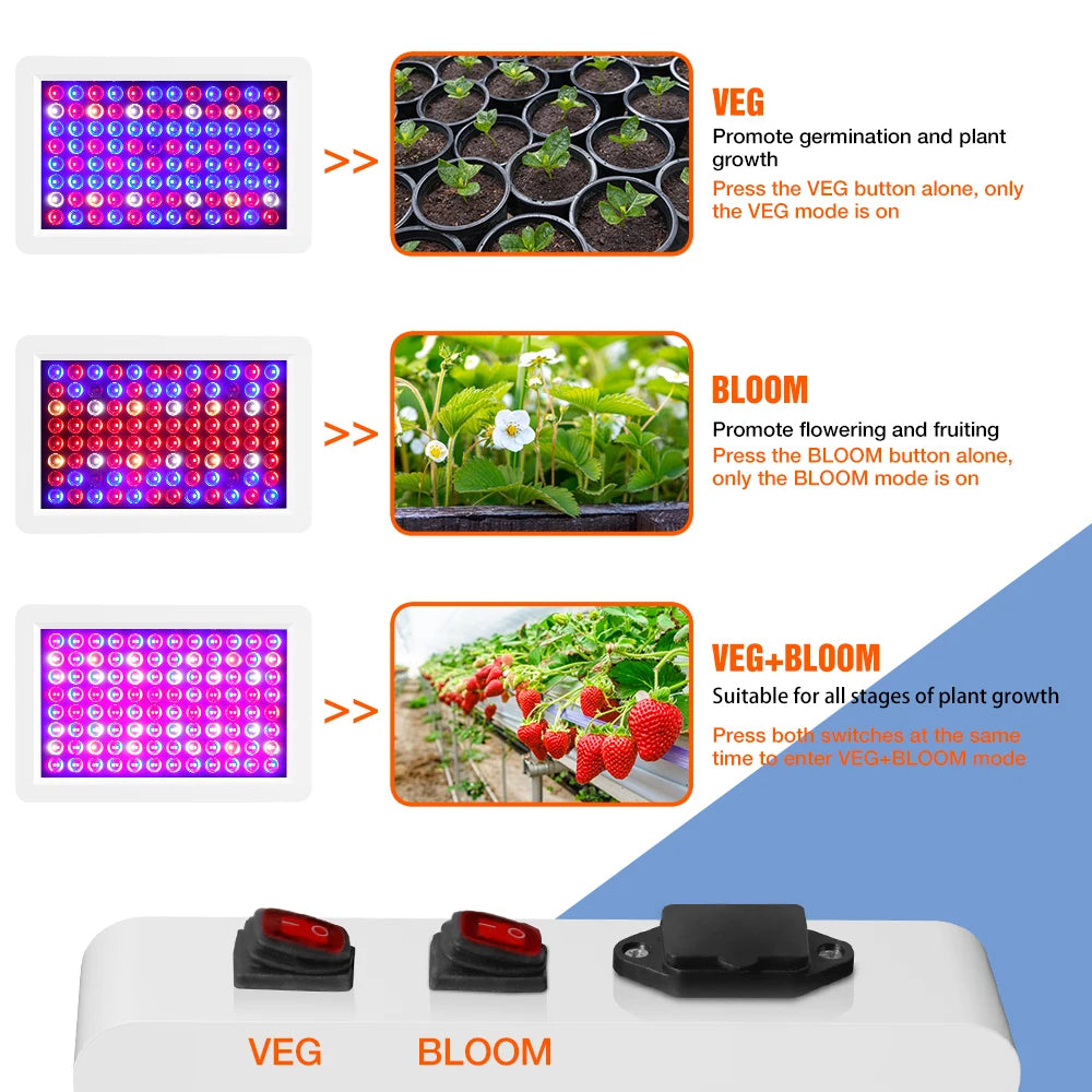 Grow Light Greenhouse Led Grow Lamp 220V LED Full Spectrum Phyto Grow 4000W