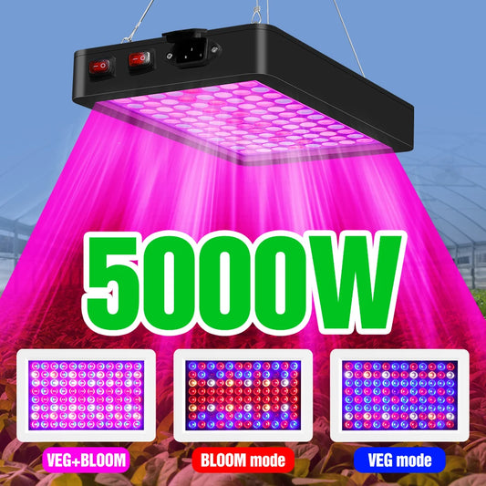 Grow Light Greenhouse Led Grow Lamp 220V LED Full Spectrum Phyto Grow 4000W