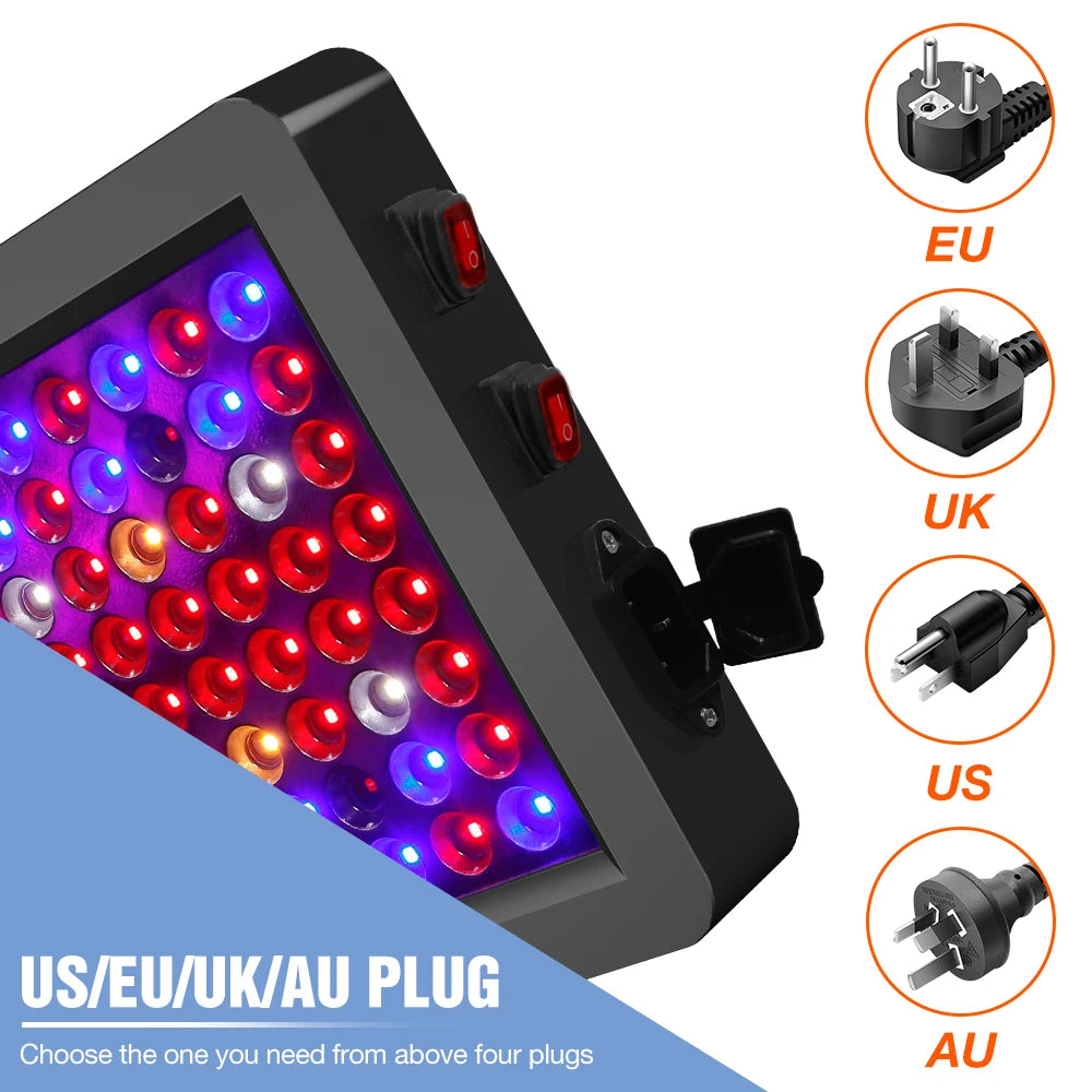 Grow Light Greenhouse Led Grow Lamp 220V LED Full Spectrum Phyto Grow 4000W