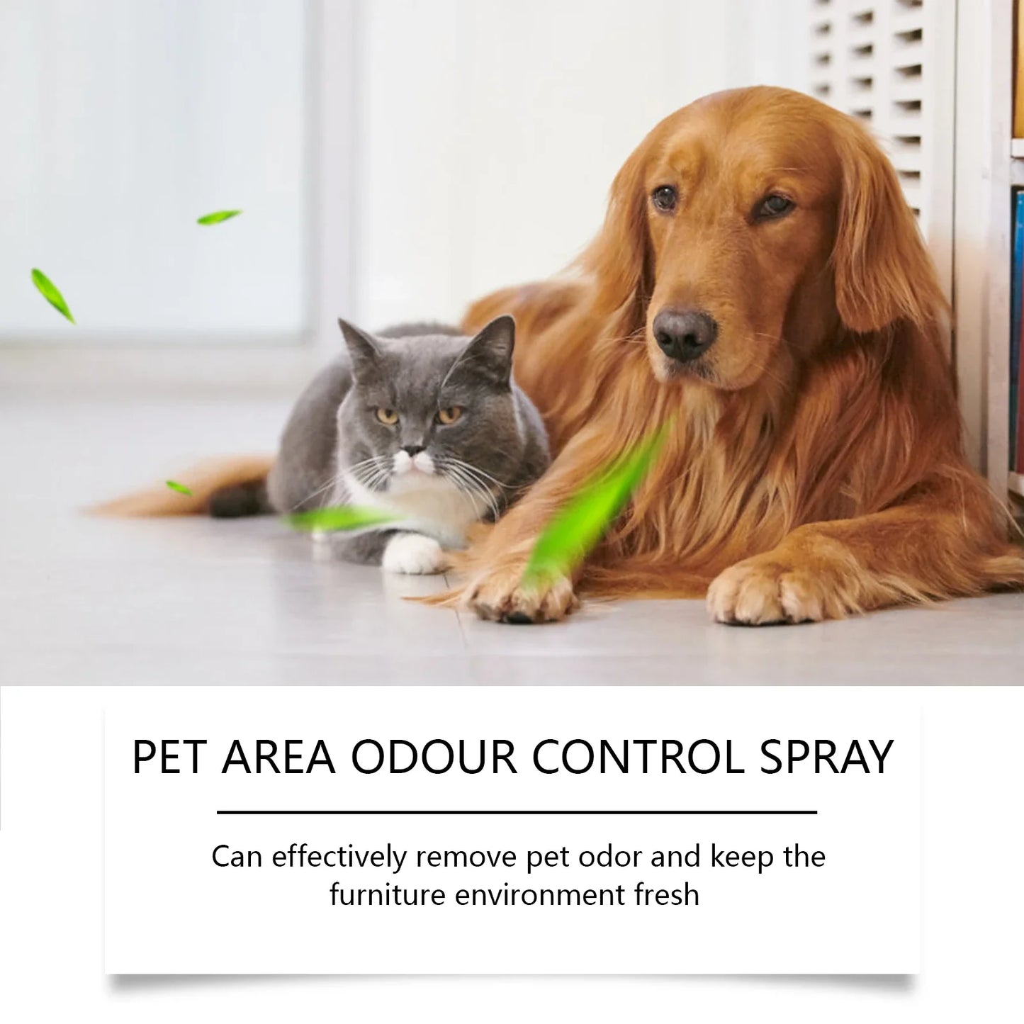 Pet Car Odor Eliminator Spray