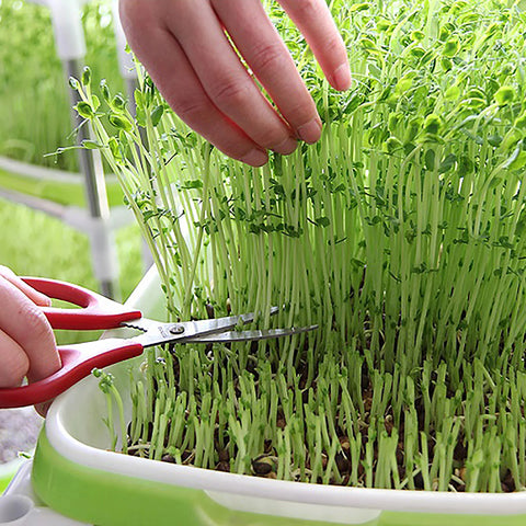 Germination Tray Plant Seeds Pot Garden Double Layer Arc Soilless Hydroponics Growing System