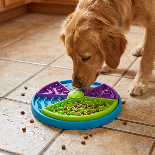 GBC lifestyle — pet-slow-food-bowl-anti-choking-cat
